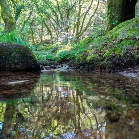 Casa Dos Leoes- Aldeia Dos 4 Abades