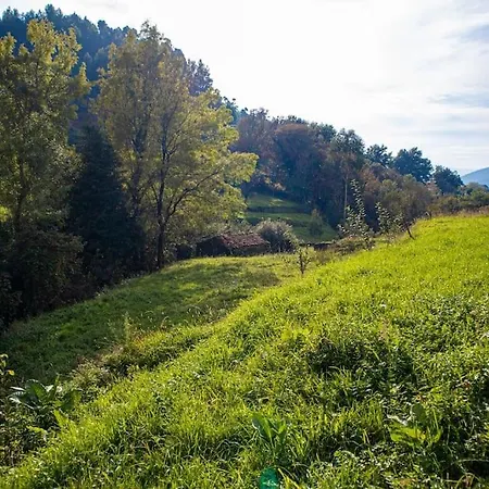 Casa Dos Leoes- Aldeia Dos 4 Abades بونتي دي ليما