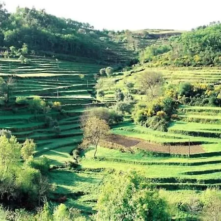 Prázdninový dům Casa Dos Leoes- Aldeia Dos 4 Abades