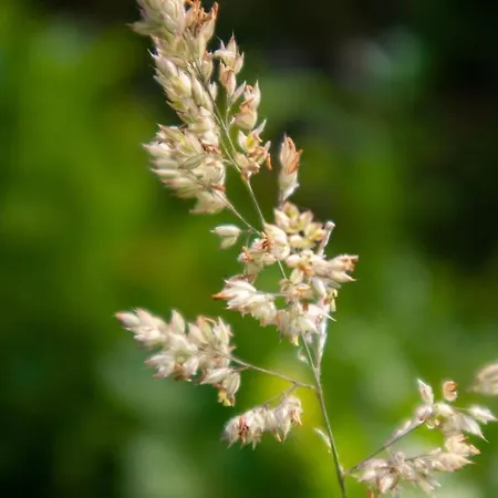 Casa Dos Leoes- Aldeia Dos 4 Abades