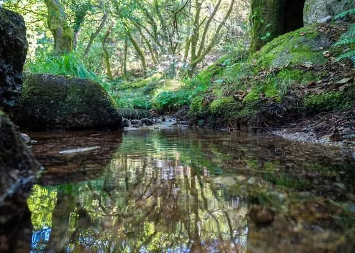 Casa Dos Leoes- Aldeia Dos 4 Abades