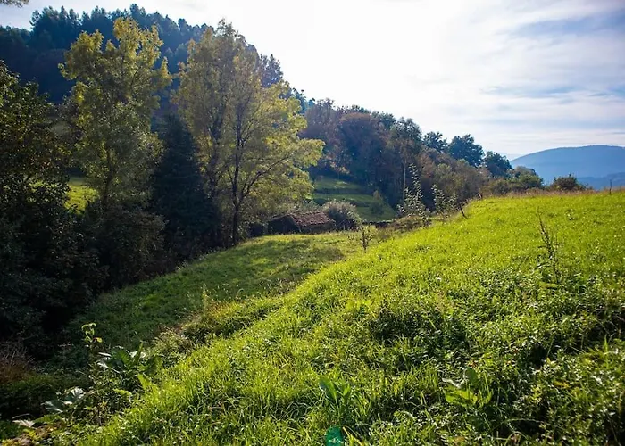 Casa Dos Leoes- Aldeia Dos 4 Abades Ponte de Lima