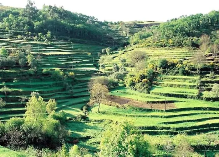 Semesterbostad Casa Dos Leoes- Aldeia Dos 4 Abades