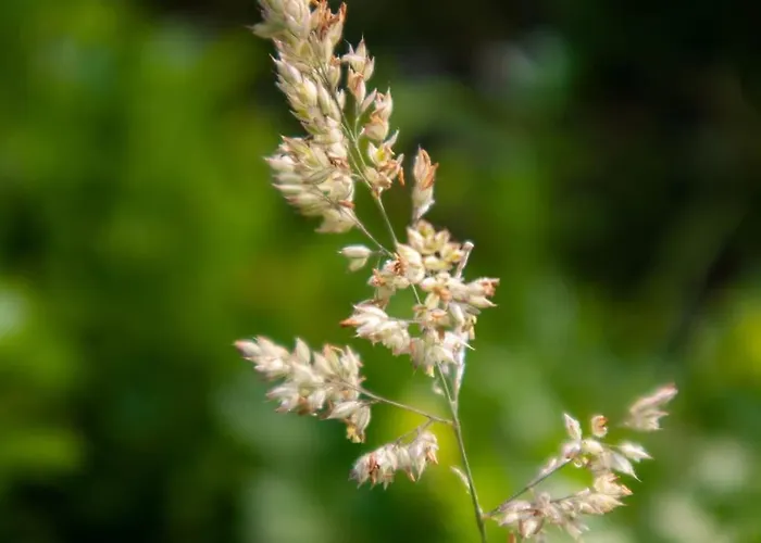 Casa Dos Leoes- Aldeia Dos 4 Abades