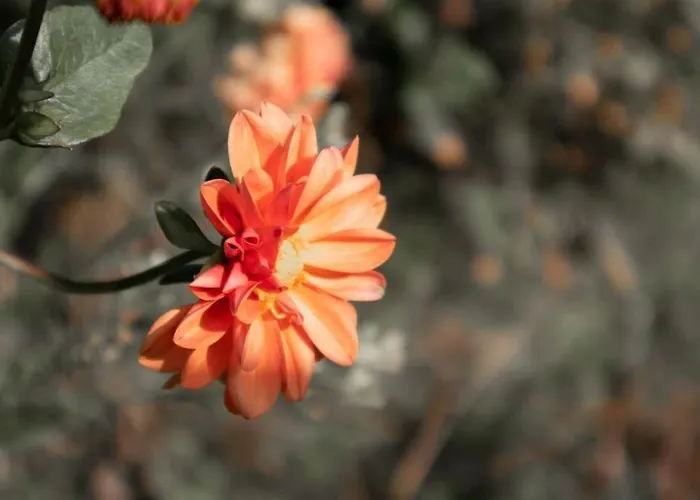 Casa Dos Leoes- Aldeia Dos 4 Abades * Ponte de Lima
